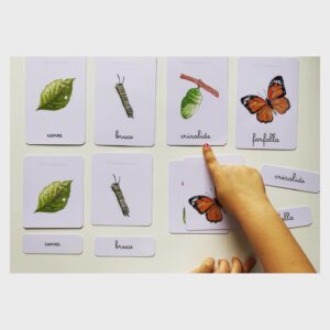 Card Montessori